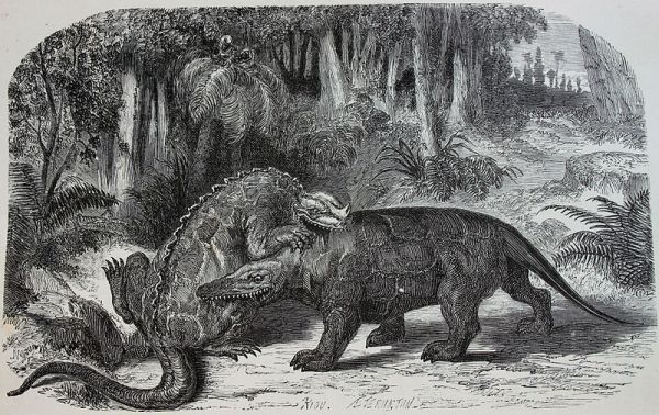 800px-Iguanodon_versus_Megalosaurus