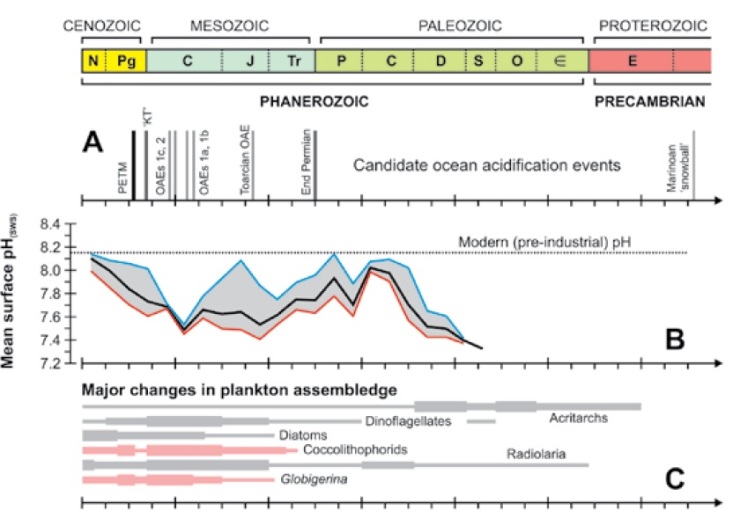 major changes in plankton assembledge