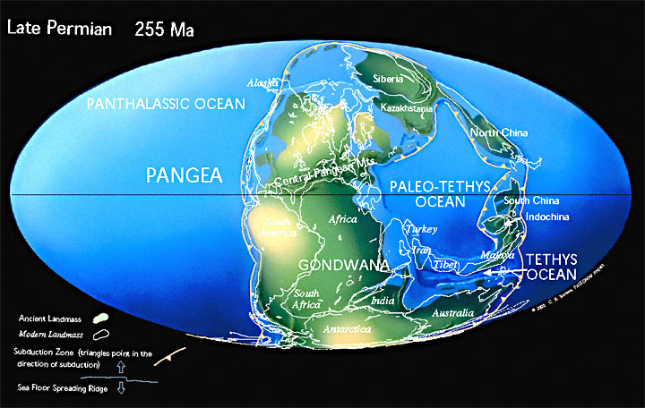 Western Pangea during the Late Permian (From Scotesse, 2010)