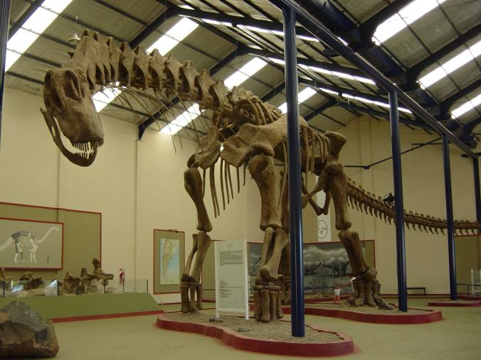 Argentinosaurus huinculensis reconstruction at Museo Municipal Carmen Funes, Plaza Huincul, Neuquén, Argentina. PLoS ONE. From Wikimedia Commons.