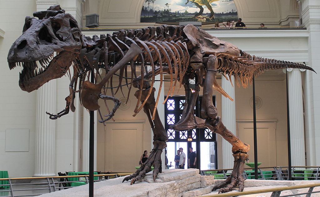 What is the closest relative of the Tyrannosaurus rex?
