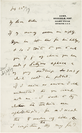 Letter from Charles Darwin to Joseph Dalton Hooker, written 22 July 1879 (provenance: Cambridge University Library DAR 95: 485–488)