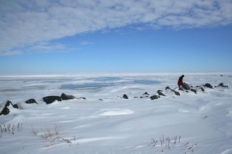 Tuktoyuktuk Beach on the Arctic Ocean (From Wikipedia)